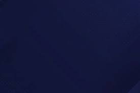 皇家马德里球员庆祝方式引人发笑